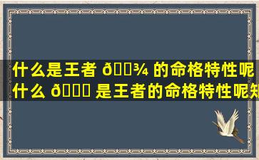 什么是王者 🌾 的命格特性呢「什么 🐘 是王者的命格特性呢知乎」